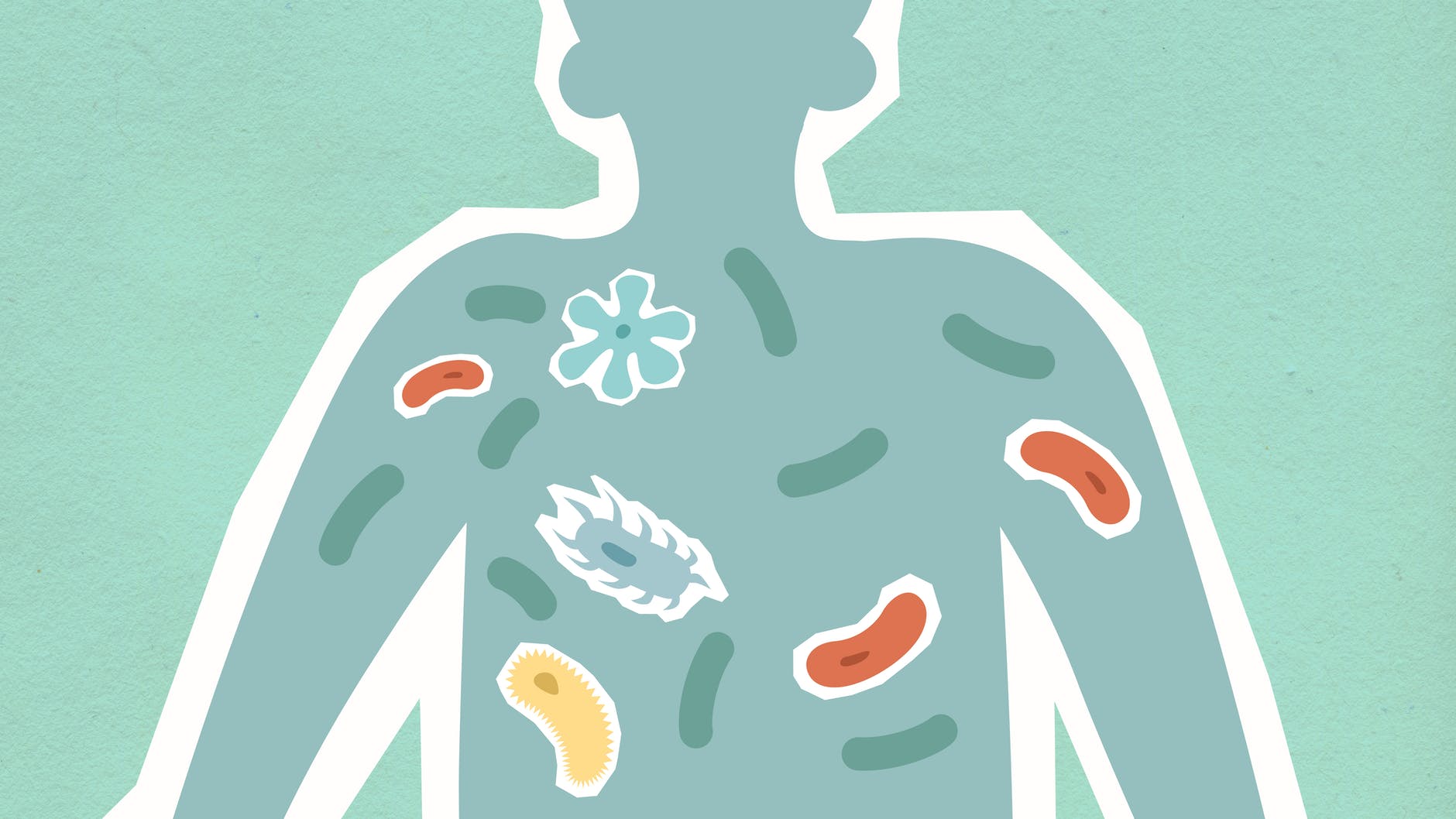 cutout paper illustration of person with bacilli in body