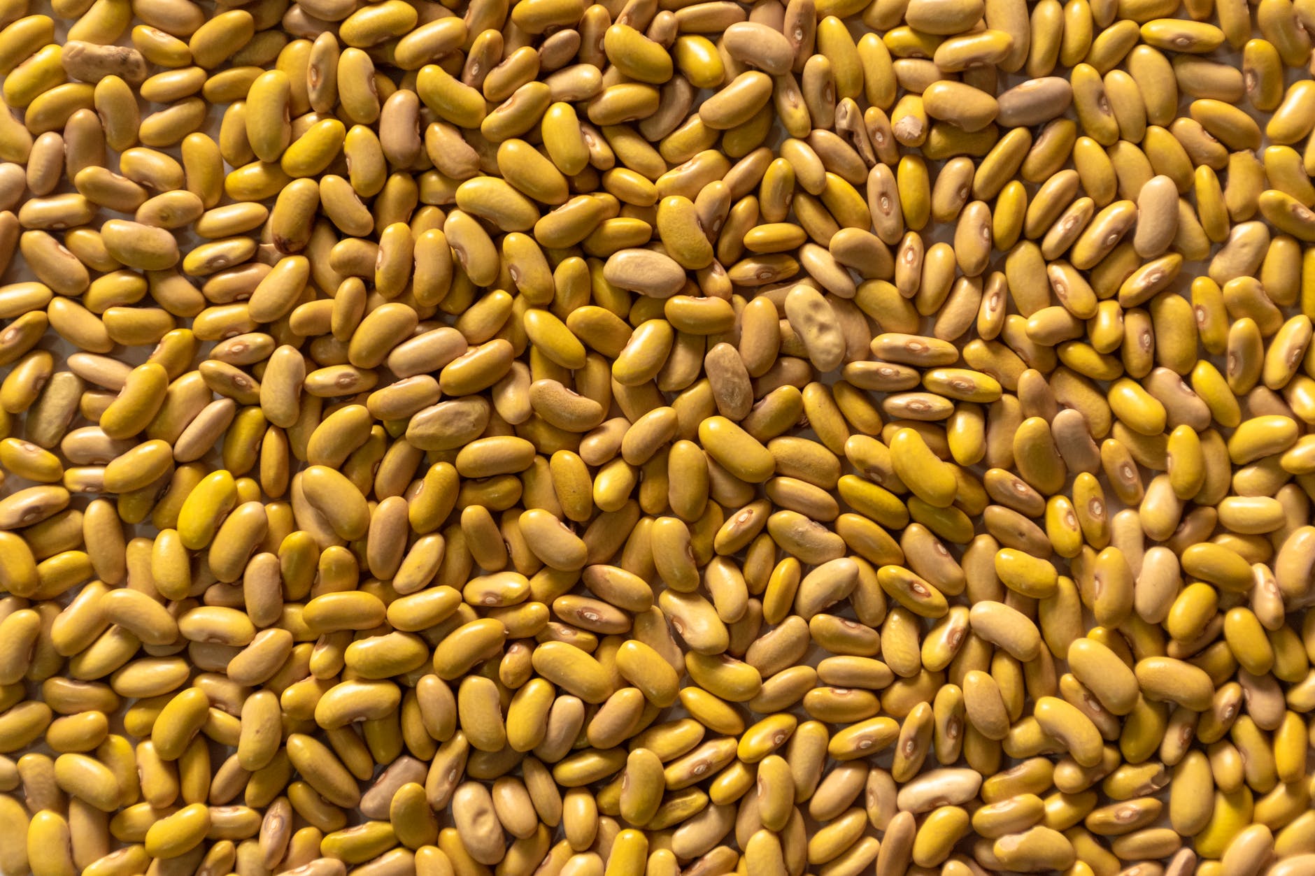 heap of yellow beans