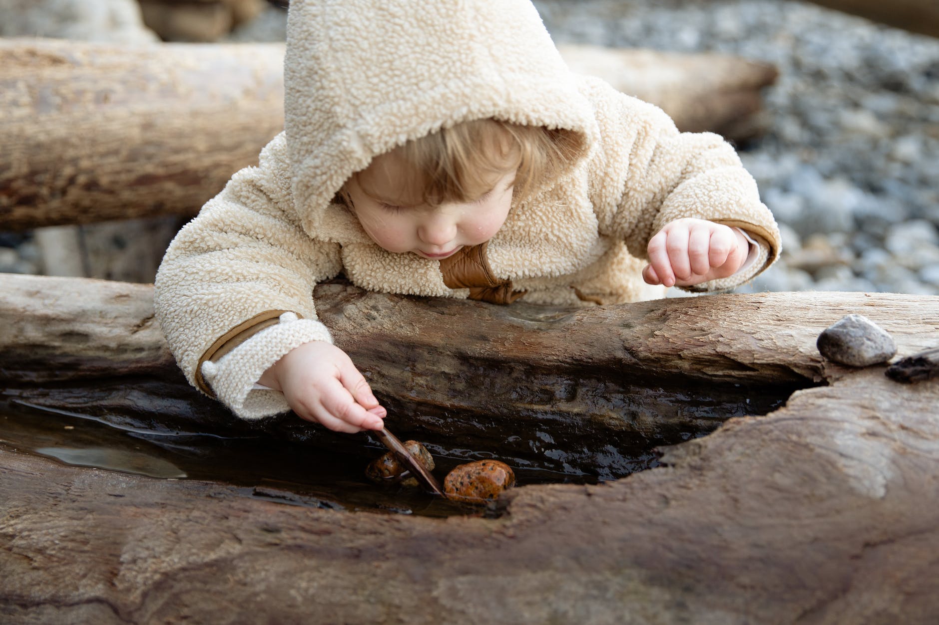 cute little girl playing with stones on log on shore