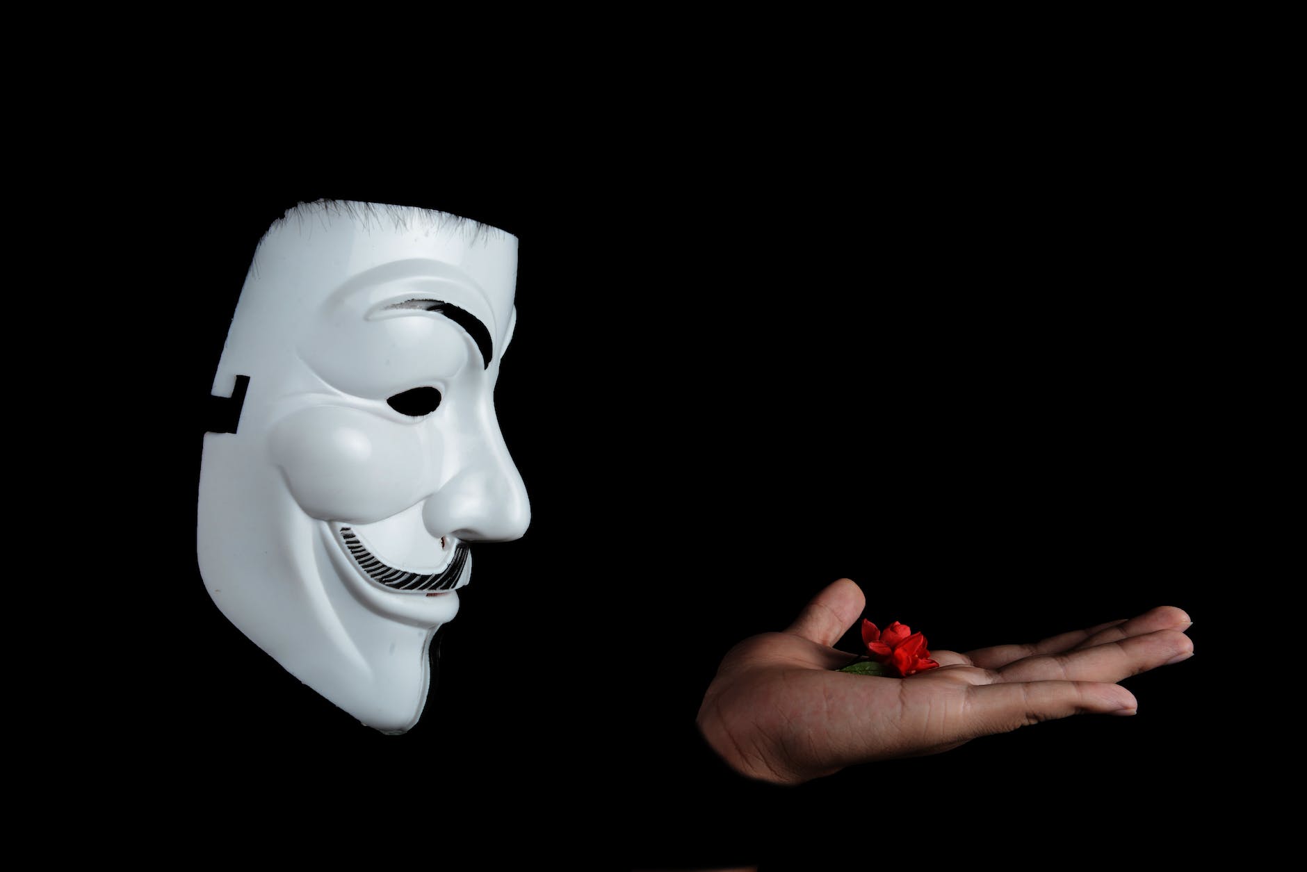guy fawkes mask and red flower on hand