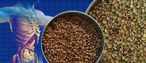 Horse-gram-daal