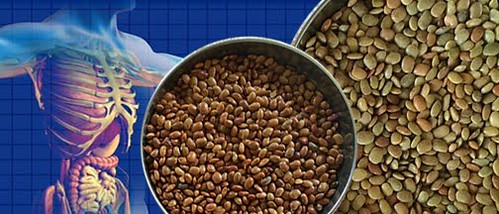 Horse-gram-daal