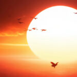 Hot-sun
