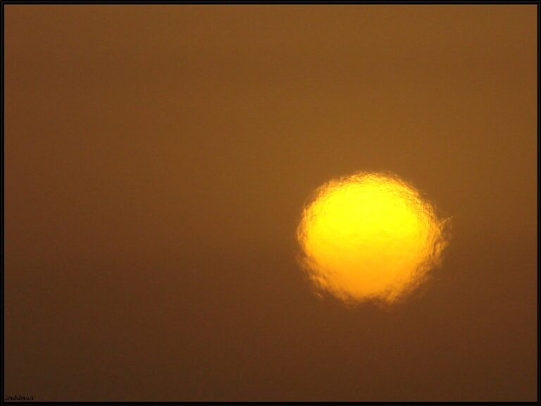 Blazing-sun