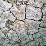 Dry-land