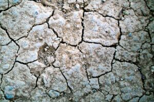 Dry-land