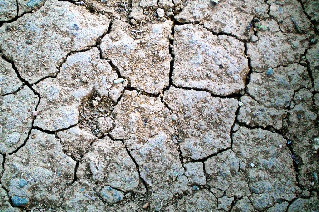 Dry-land