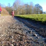 Walking