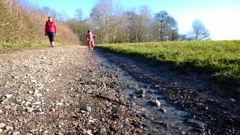 Walking