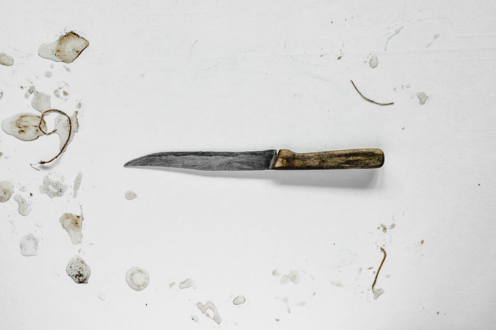 a knife with a wood handle