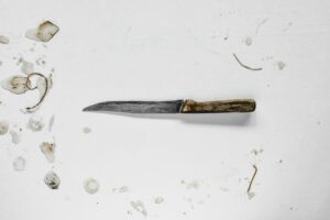 a knife with a wood handle