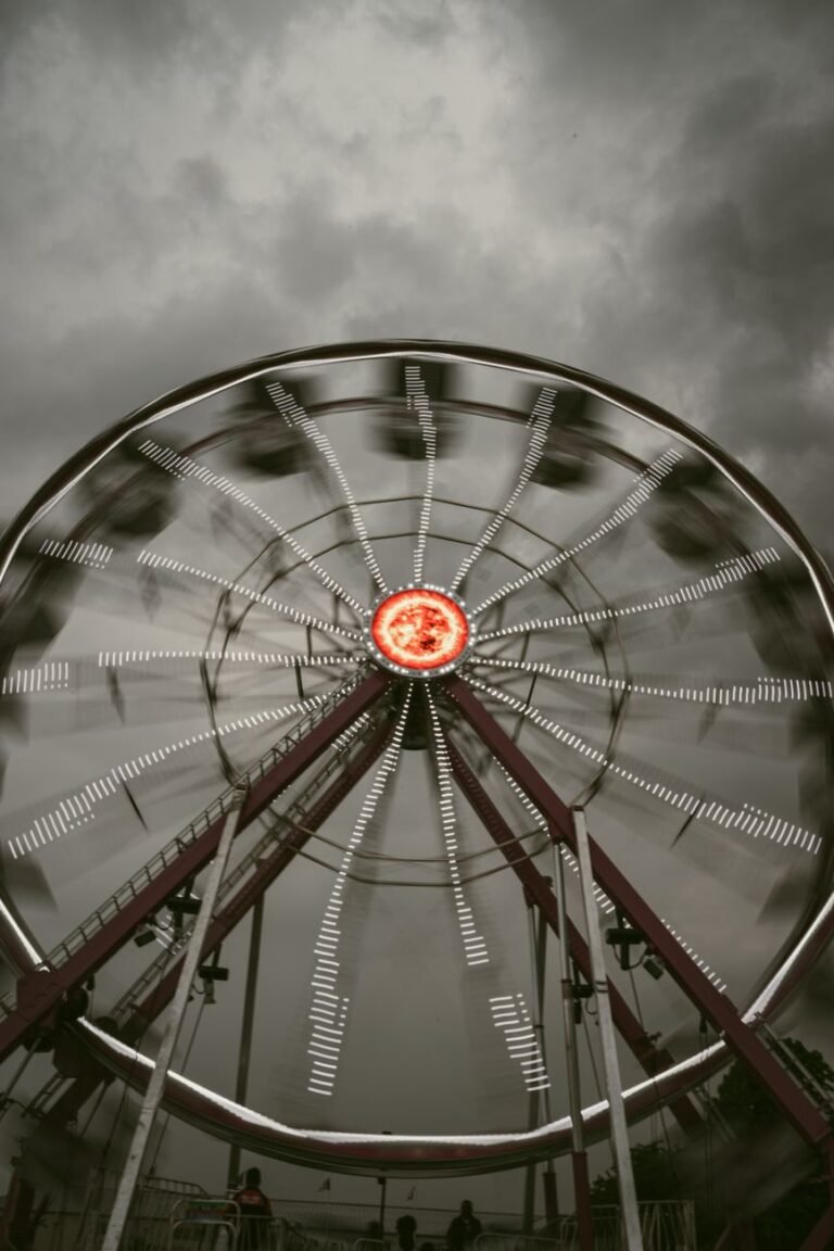 a ferris wheel is shown in this photo