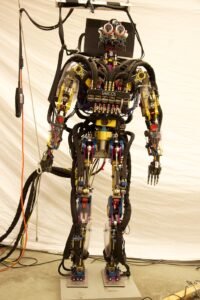 Humanoid