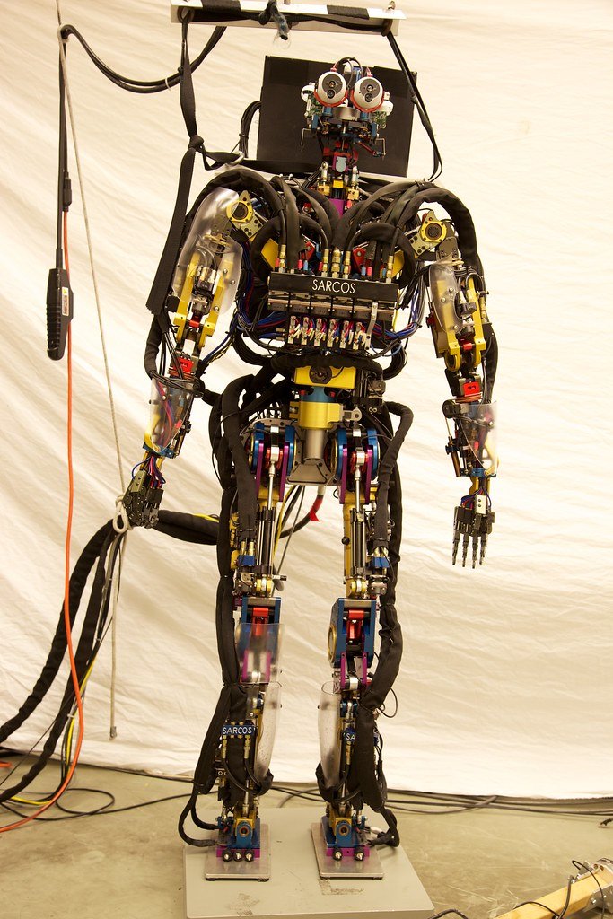 Humanoid